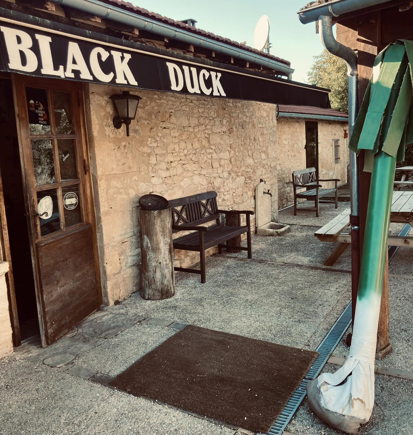 photo facebook black duck amateur (19)