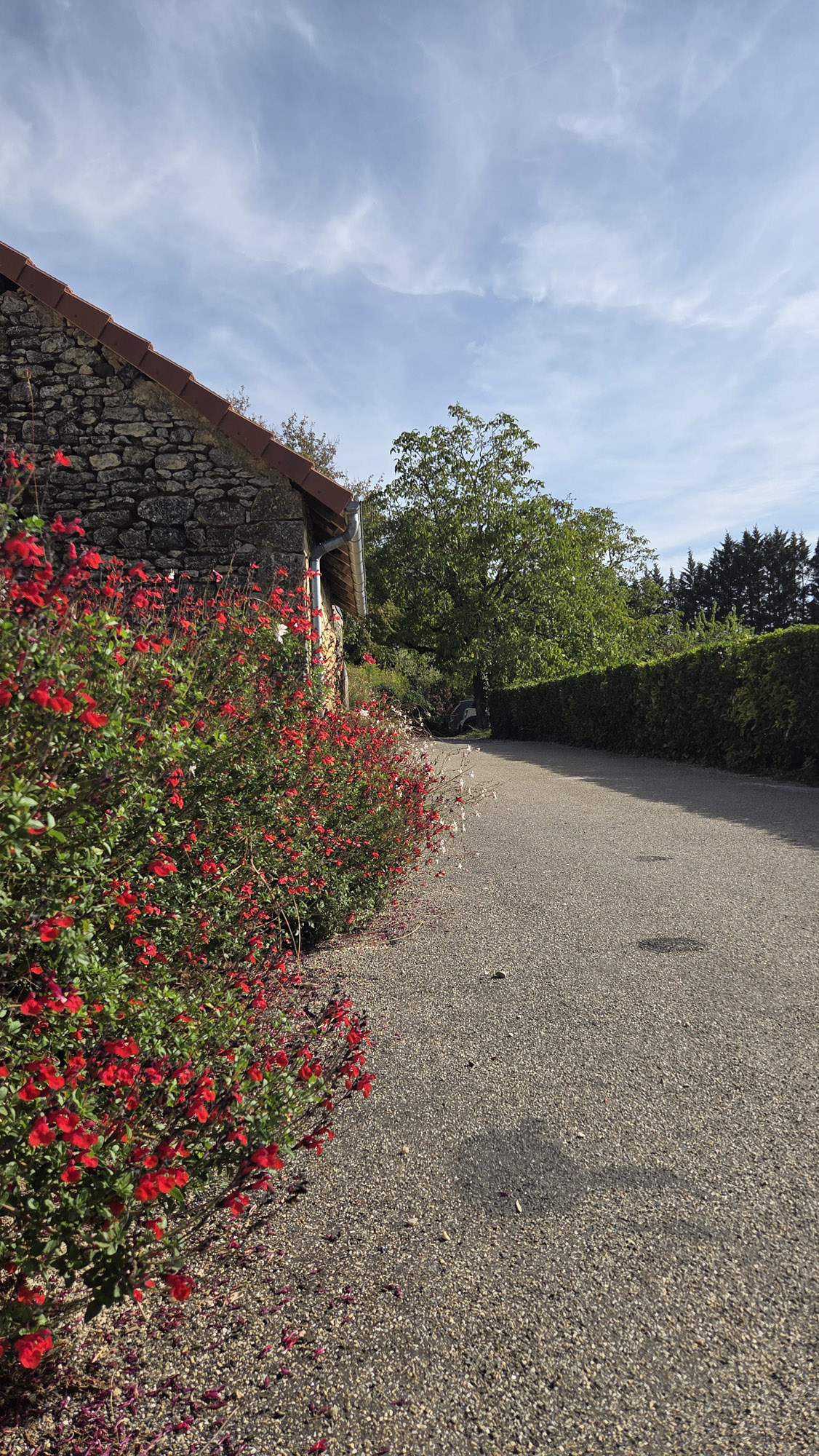 allee exterieure restaurant the black duck perigord